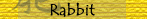Rabbit