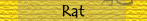 Rat