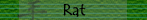 Rat