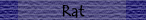 Rat