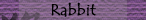 Rabbit