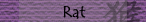 Rat