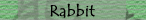 Rabbit