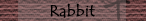 Rabbit