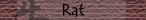 Rat