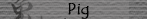 Pig