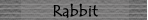 Rabbit