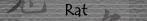 Rat