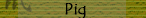 Pig