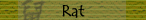 Rat