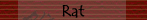 Rat
