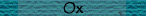 Ox