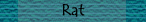 Rat