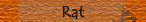 Rat